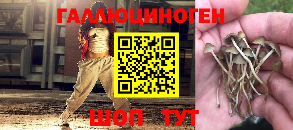 Галлюциногенные грибы ЛСД Богданович