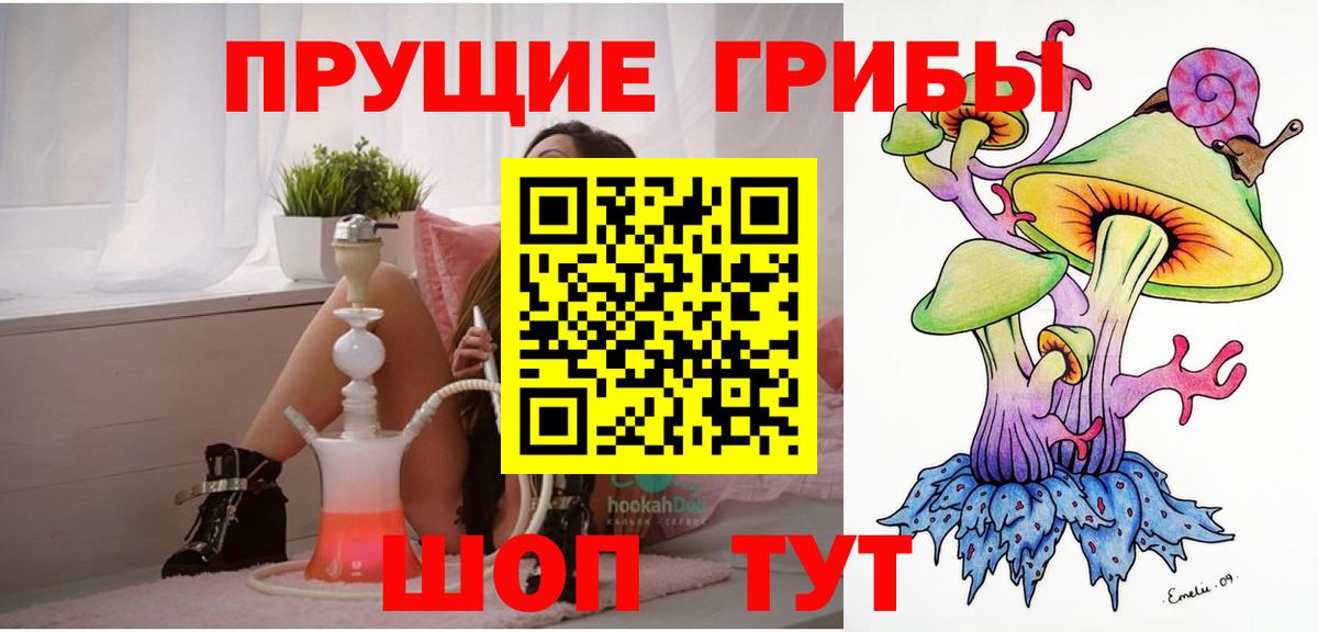 Псилоцибиновые грибы прущие грибы  Вход с VPN  Богданович  Галлюциногенные грибы Psilocybine cubensis 